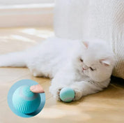 PawChase™ Automatic Teasing Pet Ball