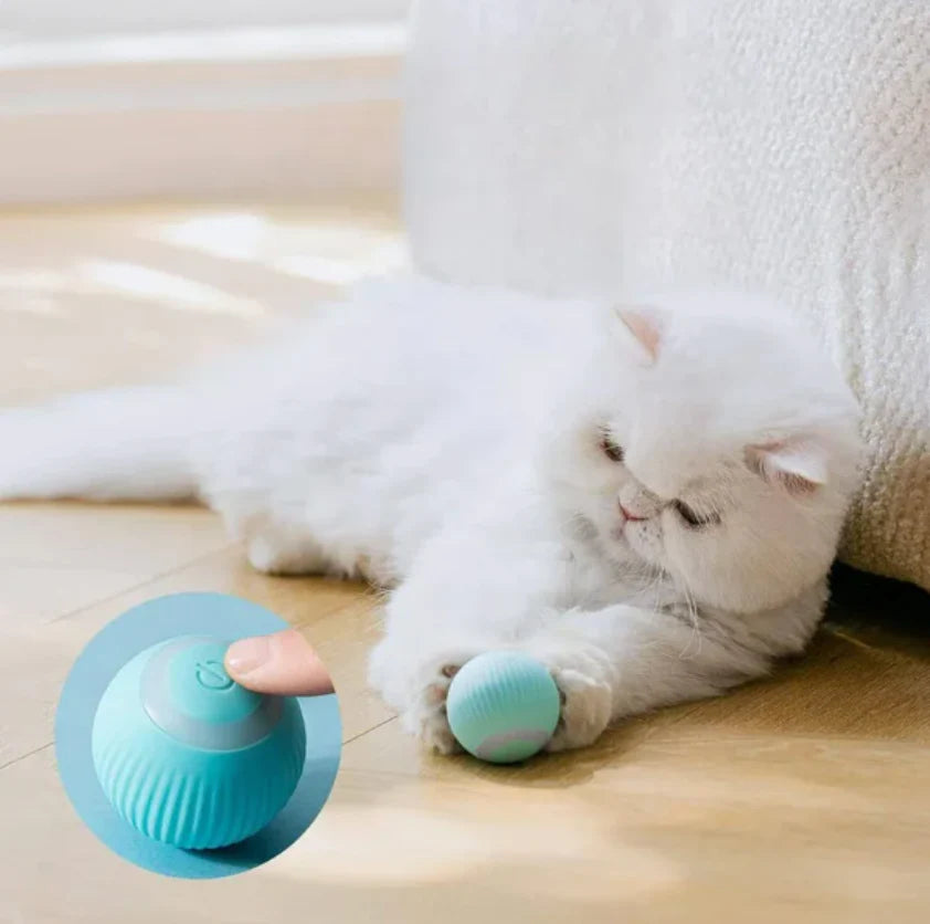 PawChase™ Automatic Teasing Pet Ball